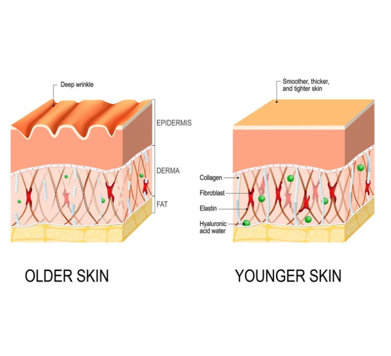 Firming and Nourishing Facial Skin Care Product (One Piece)